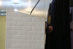 pic (3)
