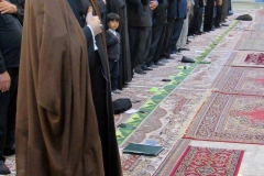 PIC (7)